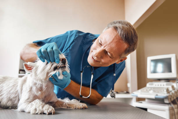 Best 24-Hour Emergency Dental Care in Centerville, OH